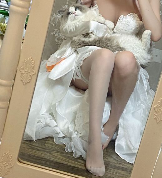 欧美slg安卓汉化游戏_1080P完整在线观看